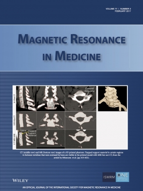 Mitsouras_et_al-2017-Magnetic_Resonance_in_Medicine